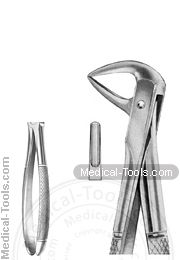 English Extracting Forceps No.114
