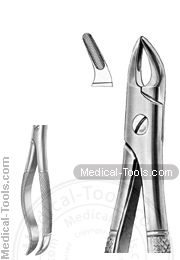 English Extracting Forceps No. 76 S
