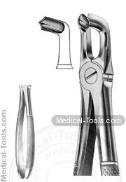 English Extracting Forceps No. 79