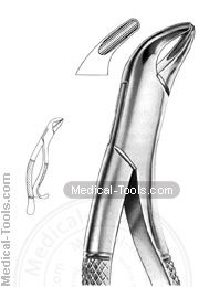 American Extracting Forceps No. 14