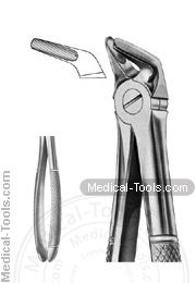 English Extracting Forceps No. 8