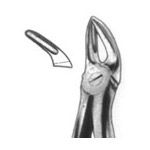 English Extracting Forceps No. 80