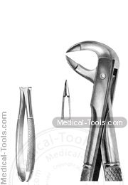 English Extracting Forceps No. 91