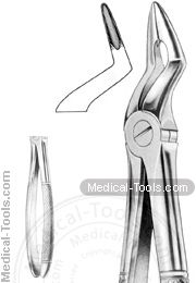 English Extracting Forceps No.216