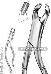  American Extracting Forceps No. 15