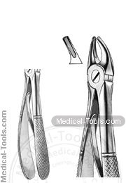 English Extracting Forceps No.218