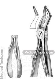 English Extracting Forceps No.219