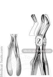 English Extracting Forceps No.220