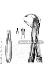 English Extracting Forceps No. 99.25