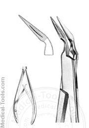 English Extracting Forceps No.230