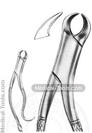 American Extracting Forceps No. 16
