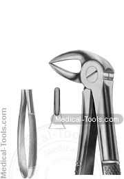 English Extracting Forceps No.33