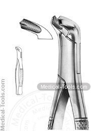 American Extracting Forceps No. 17