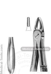 English Extracting Forceps No.37