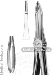 English Extracting Forceps No.41