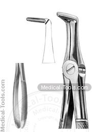 English Extracting Forceps No.45