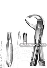 English Extracting Forceps No. 99.5