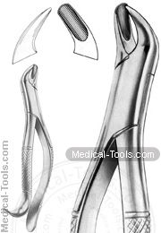 American Extracting Forceps No. 2