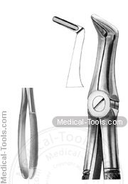 English Extracting Forceps No.49