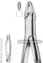  American Extracting Forceps No. 20 R
