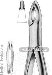 American Extracting Forceps No. 213