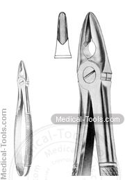 English Extracting Forceps MD1
