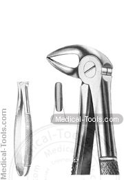 English Extracting Forceps MD3