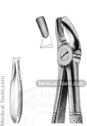 English Extracting Forceps MD4