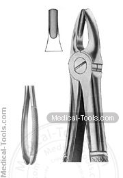 English Extracting Forceps No. 1
