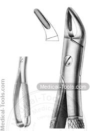 English Extracting Forceps No.100