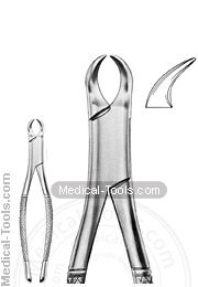 American Extracting Forceps No. 23 S