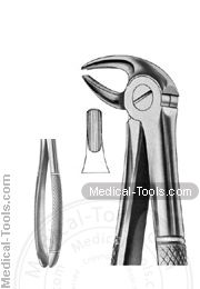 English Extracting Forceps No. 13
