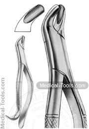 American Extracting Forceps No. 24