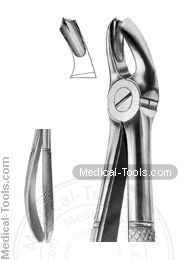 English Extracting Forceps No. 17 R
