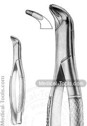 American Extracting Forceps No. 29 S