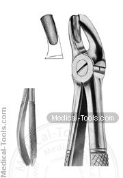 English Extracting Forceps No. 18 L