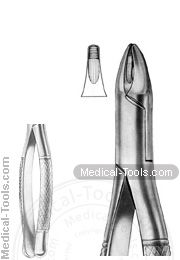 American Extracting Forceps No. 30s