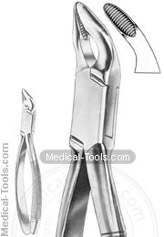 American Extracting Forceps No. 310