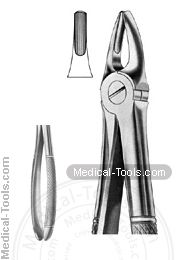 English Extracting Forceps No. 2