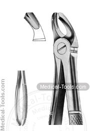 English Extracting Forceps No. 20