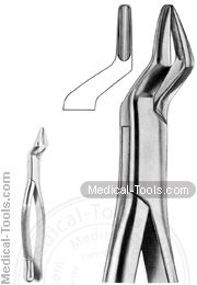 American Extracting Forceps No. 35