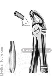 English Extracting Forceps No. 21
