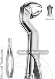 English Extracting Forceps No. 22.5 R