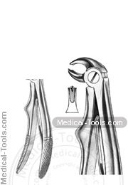 English Extracting Forceps No. 222