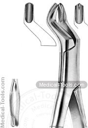 American Extracting Forceps No. 53L