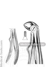 English Extracting Forceps No. 223