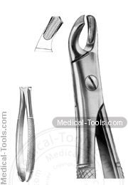 English Extracting Forceps No.102R