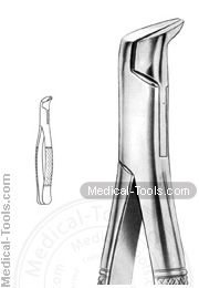 American Extracting Forceps No. 6