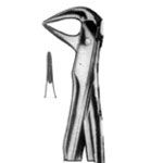Forceps for Lower Roots & Crowded Incisors No. 74 XN