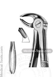 English Extracting Forceps No. 24